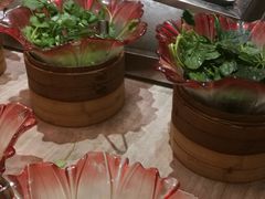 -上海圣淘沙万怡酒店