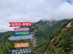 -朱雀国家森林公园
