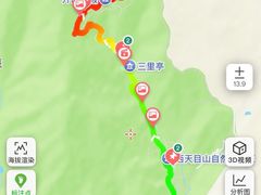 -天目山大树王景区
