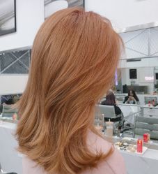 点击看大图 -YDO SALON