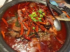 -探鱼·鲜青椒爽麻烤鱼(广州花都来又来店)