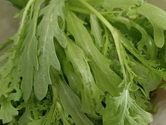 -草原传奇鲜羊火锅(桥北店)