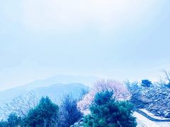 -香山公园