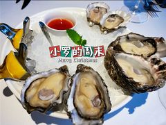 -Oyster Talks 四度蚝法餐厅