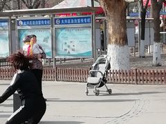 -康庄公园