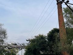 -绥化市森林植物园