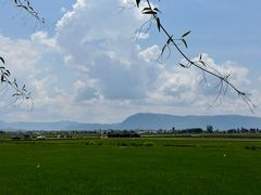 -喜林苑·稻田餐厅(品相府店)