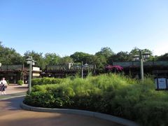 -奥兰多迪士尼动物王国乐园