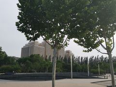 -廊坊文化艺术中心