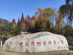-习家池