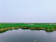 -包头南海湿地景区