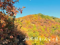 -鬼笑石后山停车场