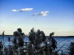 -天津东丽湖风景区