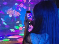 -合肥海洋世界