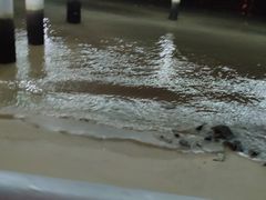 -演武大桥观景平台