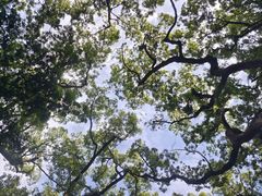-普陀山风景名胜区-法雨禅寺