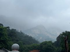 -大芦花风景区