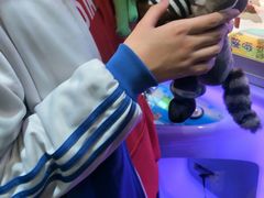 -PAWTOY爪e玩偶店(天兴罗斯福店)