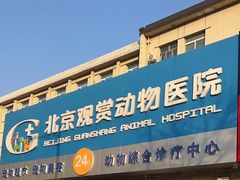-北京观赏动物医院·24小时大型综合·猫专科·异宠专科