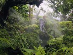 -Chom Cafe and Restaurant