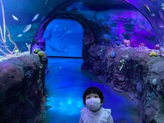 -沈阳海洋探索中心