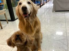 -喜洋洋宠物医院(震川路总店)