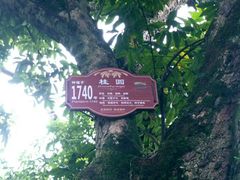 -张坝桂圆林公园