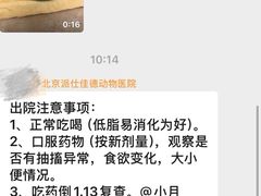 -北京派仕佳德动物医院·超导核磁·CT·神经科·骨科·内外科·急重症管理中心