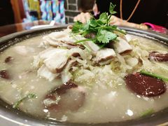 -邵年鸽(杨庄店)