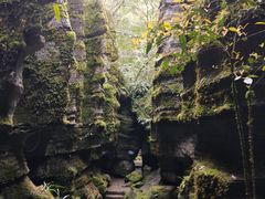 -梭布垭石林景区