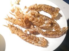 -加餐海鲜自助(宝龙一城店)