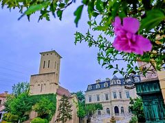 -北京张裕爱斐堡酒庄