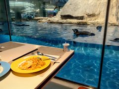 -帝企鹅自助餐厅•儿童岛•真企鹅(长隆企鹅酒店)