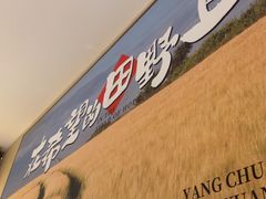 -杨厨的田园饭店(长城路店)