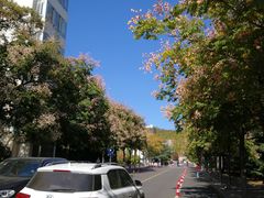-山东大学(威海校区)