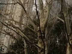 -明瓦廊小区