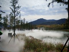 -千年银杏谷文化旅游区