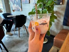 -Wagas(凤凰汇店)