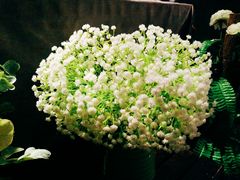 -LYFATTI 莱芙缇(赣水路店)