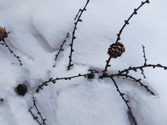 -香炉山国家森林公园