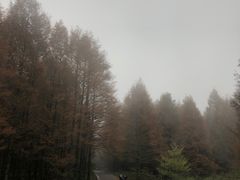 -山王坪喀斯特国家生态公园