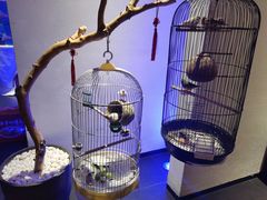 -悦融·京鲁菜·露台花园(安定门店)