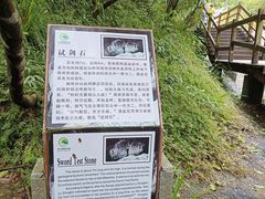 -广州白江湖森林公园