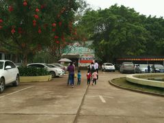 -南宁良凤江国家森林公园