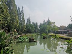 -乌村