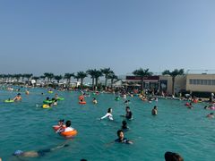 -秦皇岛乐岛海洋王国