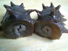 -尚水元休闲自助餐厅(中央城店)