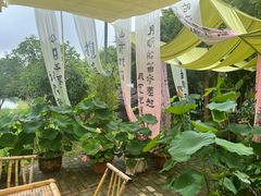 -荷花荡