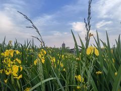 -永定河休闲森林公园