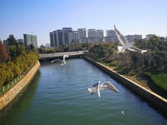 -五甲塘生态湿地公园